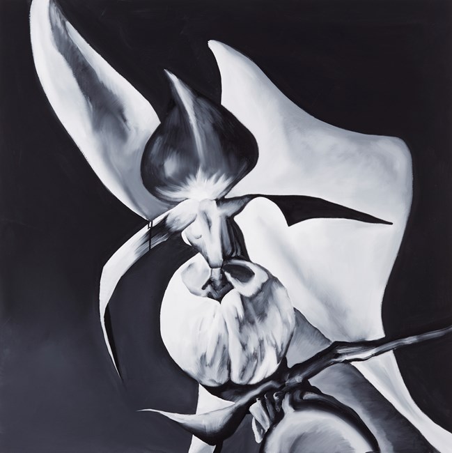 展覧会の画像一覧 五木田智央 と 平子雄一 東京オペラシティ アートギャラリー Exhibition Images Gokita Tomoo Hirako Yuichi Tokyo Opera City Art Gallery Articles Art Culture