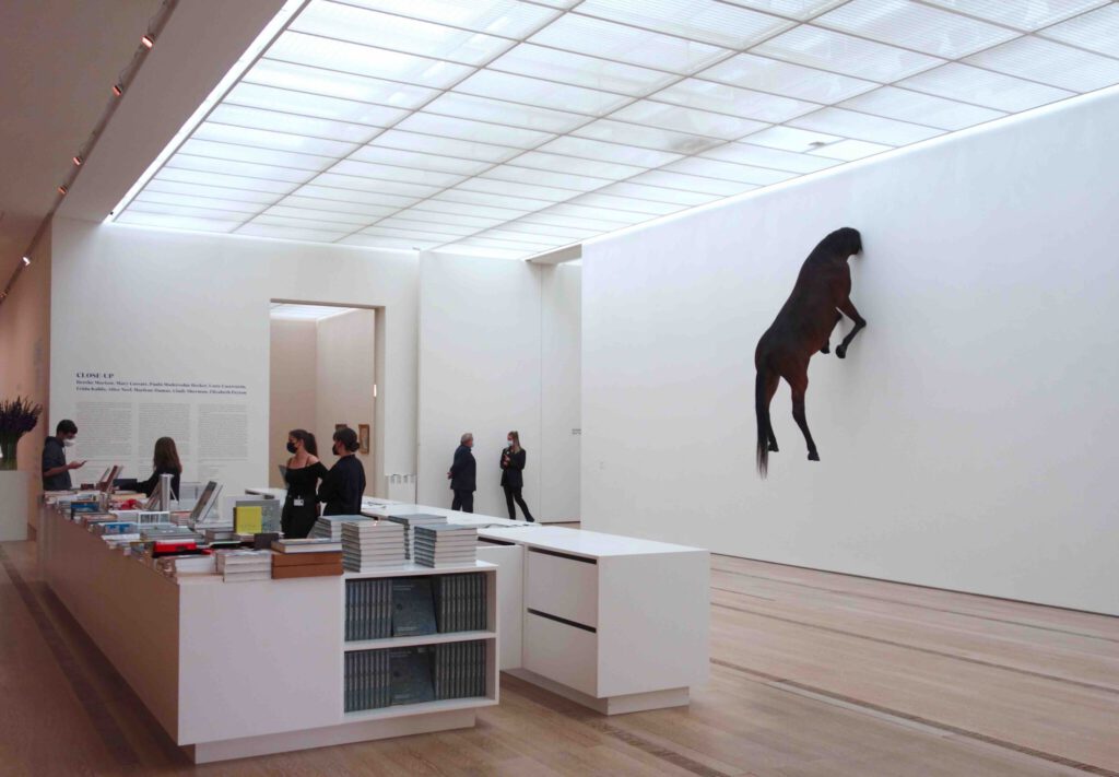 Maurizio Cattelan “Untitled” 2007, Präpariertes Pferd (The animal was not hurt.) @ Beyeler Fondation 2021