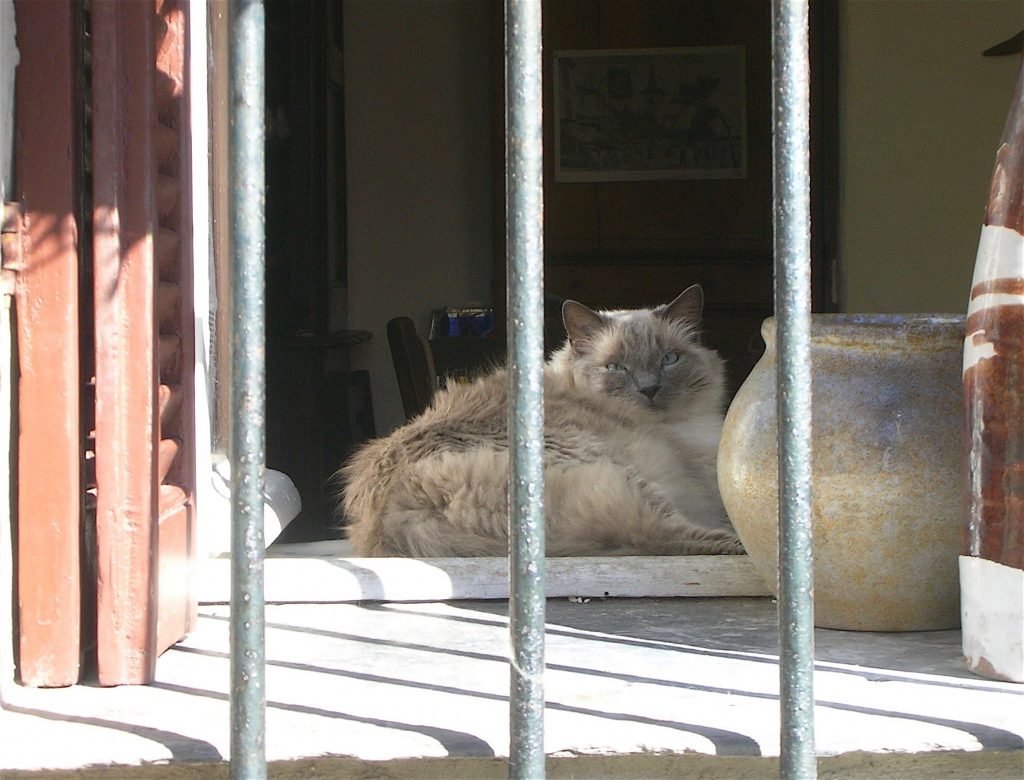 藤田嗣治-Cagnes-sur-Mer