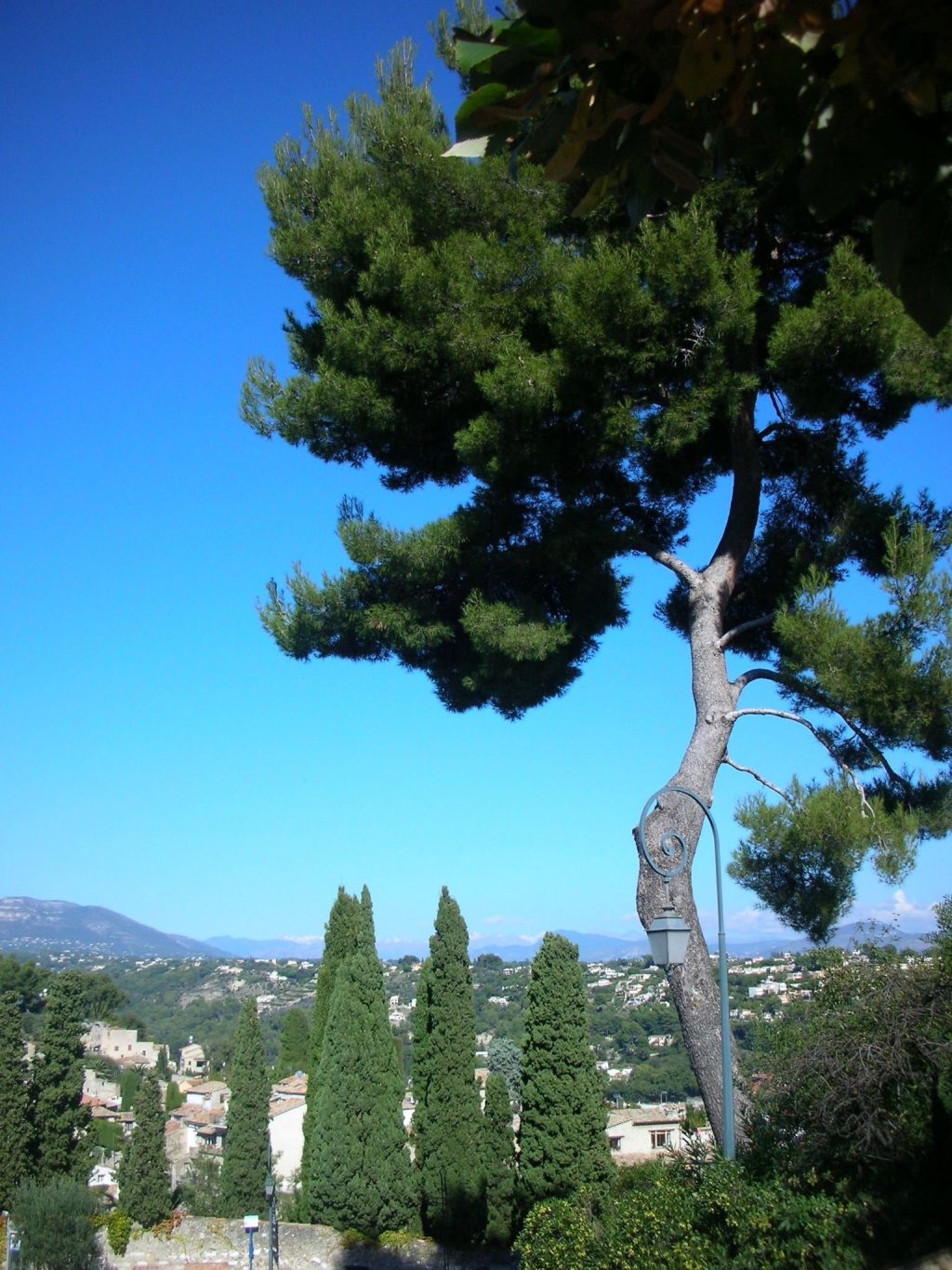 藤田嗣治-Léonard Foujita-レオナール-フジタ-Cagnes-sur-Mer5