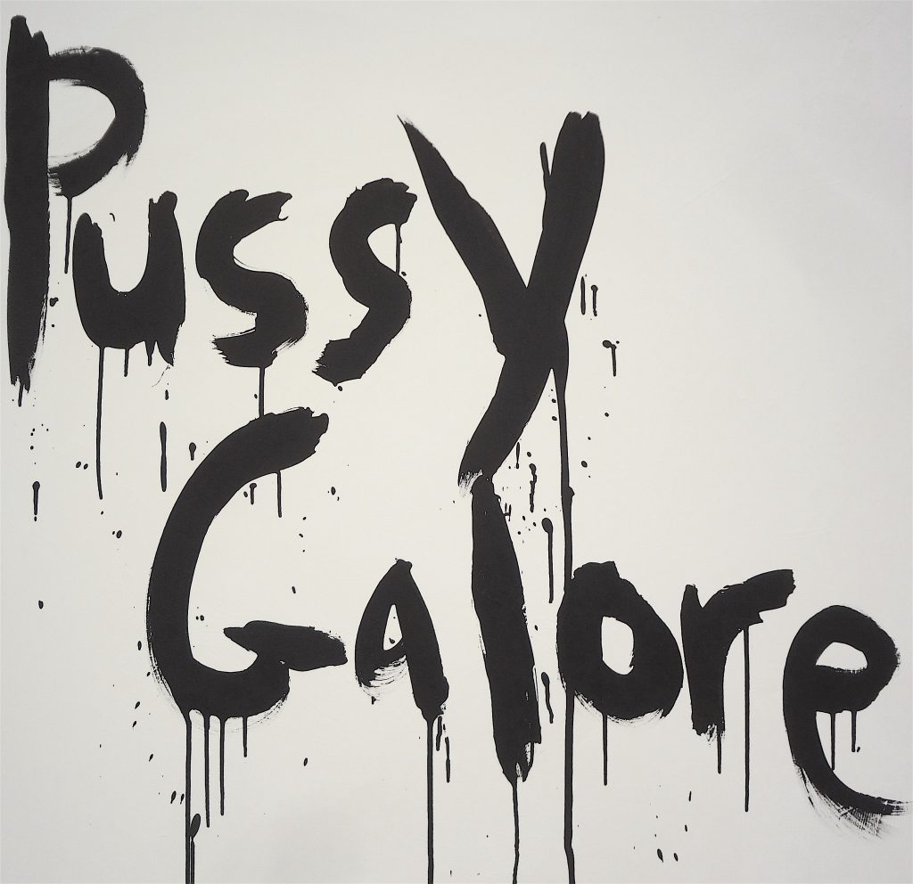 Kim Gordon “Pussy Galore” 2009, detail