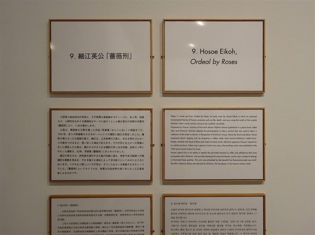 Explanation boards about Eikoh Hosoe’s homoerotic photographs of MISHIMA Yukio