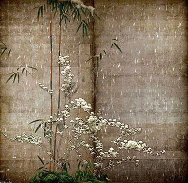 KOSEMURA Mami 小瀬村真美 “Flowering Plants of the Four Seasons – Winter” 2006, HD video
