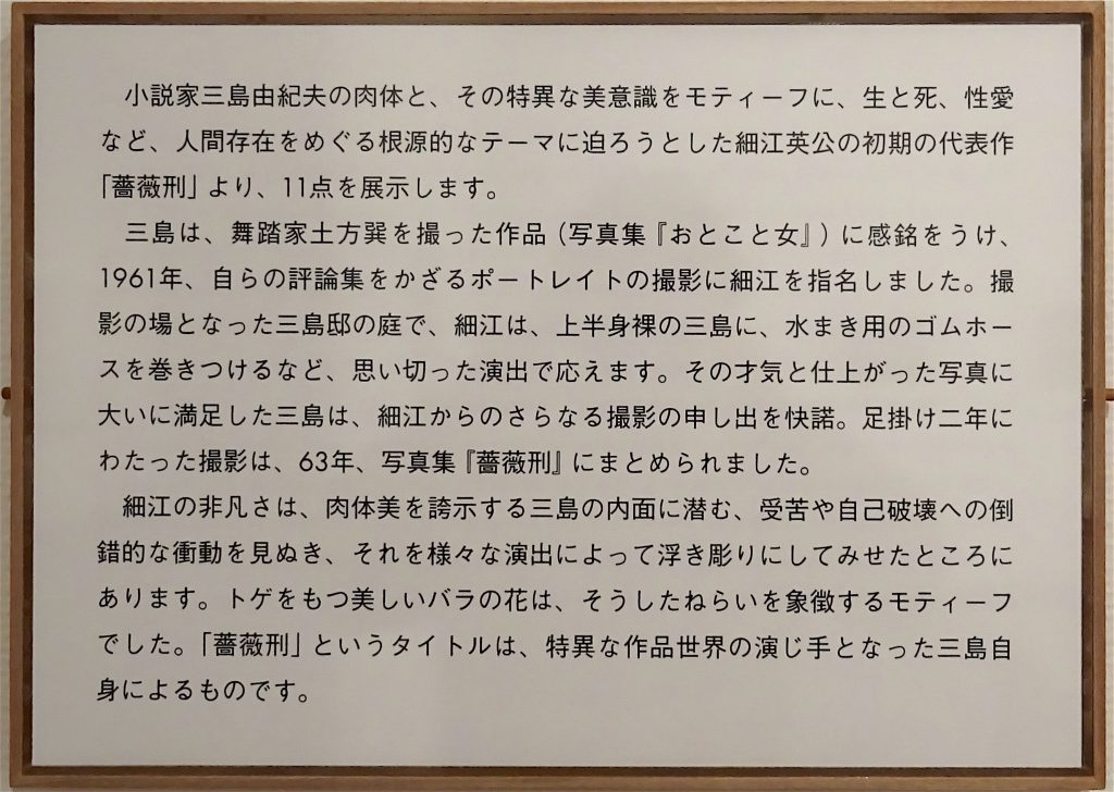 東京国立近代美術館 細江英公・三島由紀夫