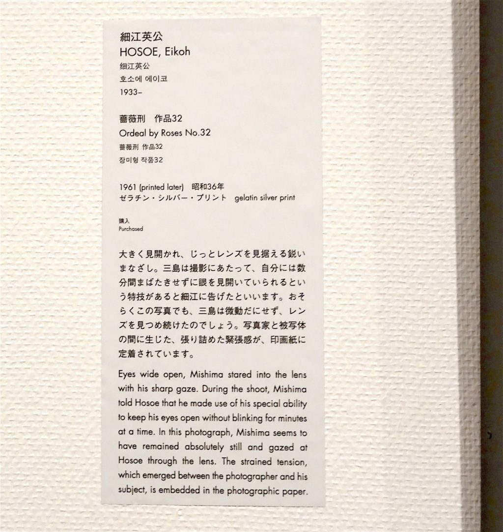 東京国立近代美術館 細江英公・三島由紀夫、展示風景8