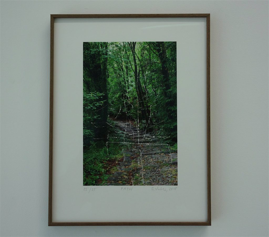 Gerhard Richter ‘PATH’ 2018, unique edition series, inkjet print (Photo taken by Richter at Lago Maggiore, Italia)