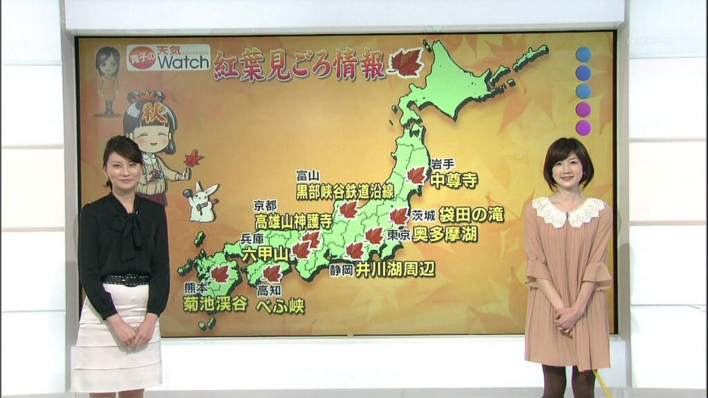Semi-national TV channel NHK weather report 2012 .jpg