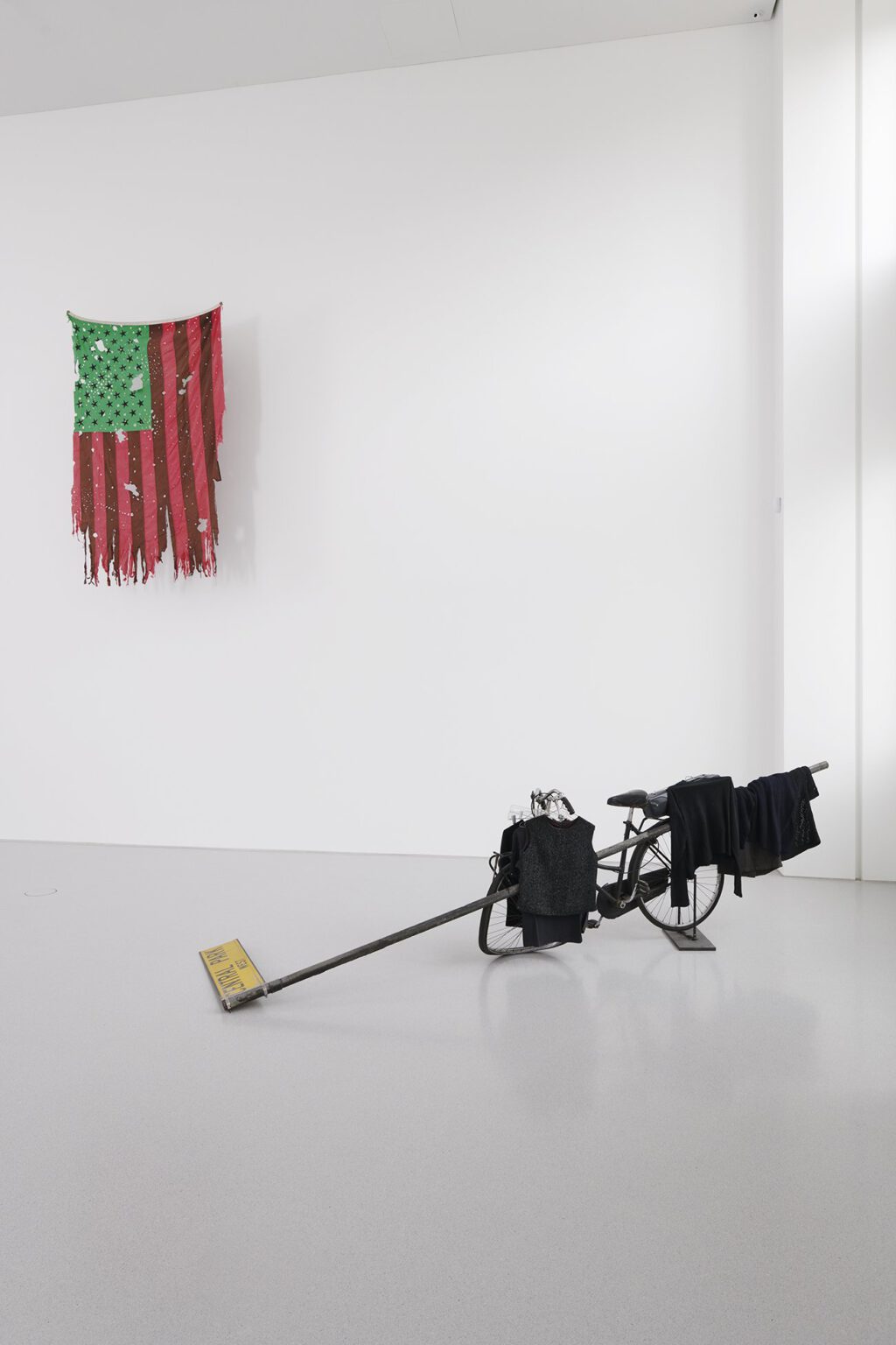 David Hammons installation