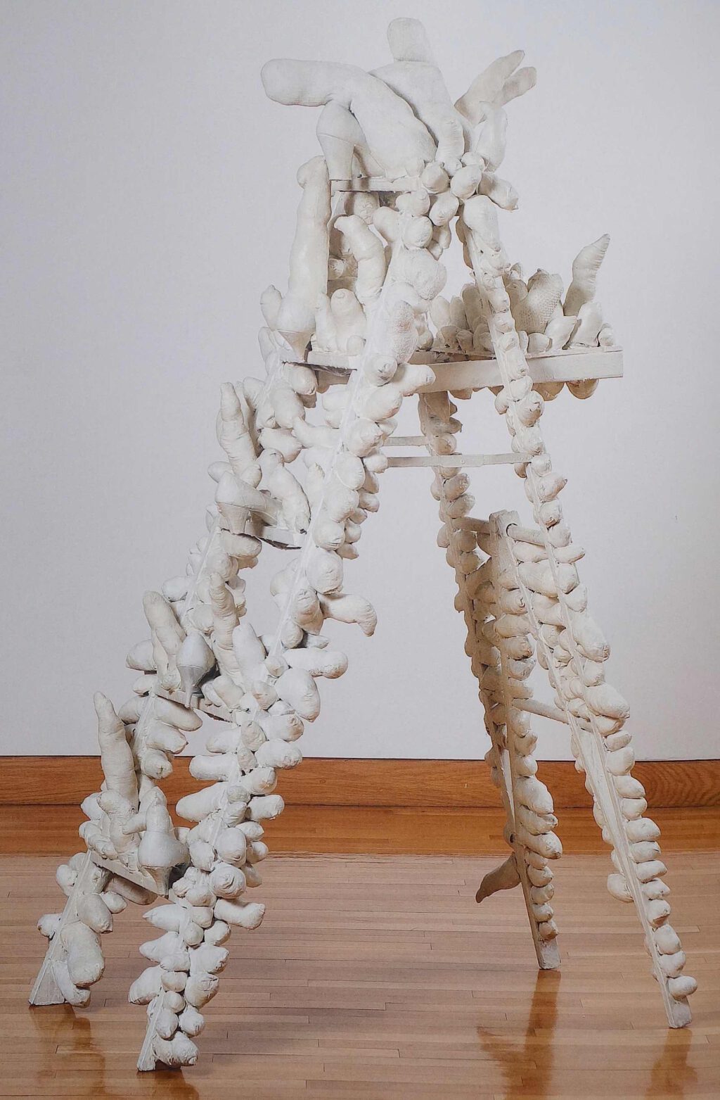 KUSAMA Yayoi Ladder 1963, mixed media, 167.6 x 66 x 96.5 cm, Des Moines Art Center Permanent Collection; Gift of Hanford Yang, New York
