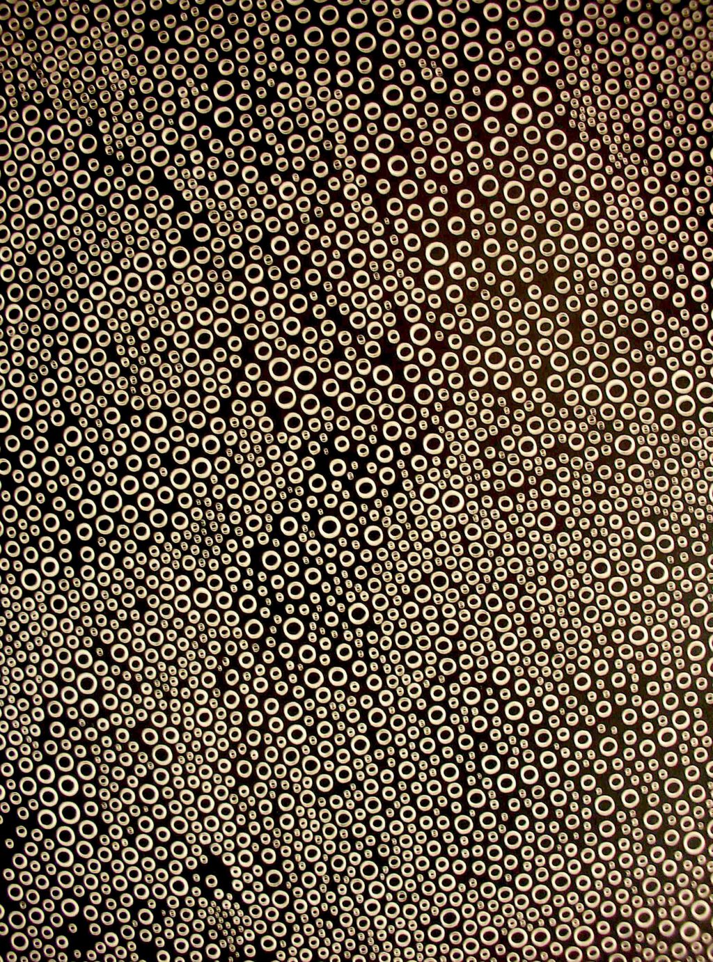 Solo exhibition of KUSAMA Yayoi @ Takahashi Ryutaro Collection 高橋龍太郎コレクション 2009, detail