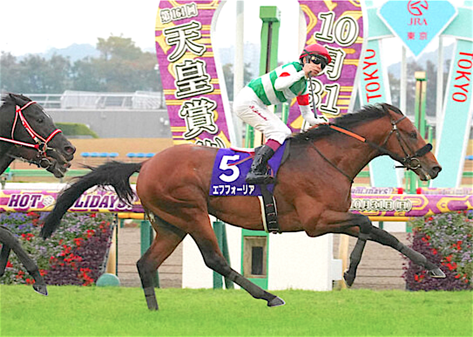 東京競馬場トレカ8種コンプ エフフォーリア コントレイル