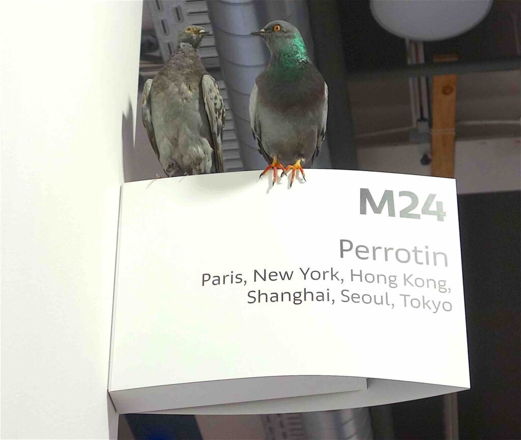 Maurizio Cattelan “Ghost” 2021, 65 taxidermized pigeons, detail @ Perrotin, Art Basel 2021
