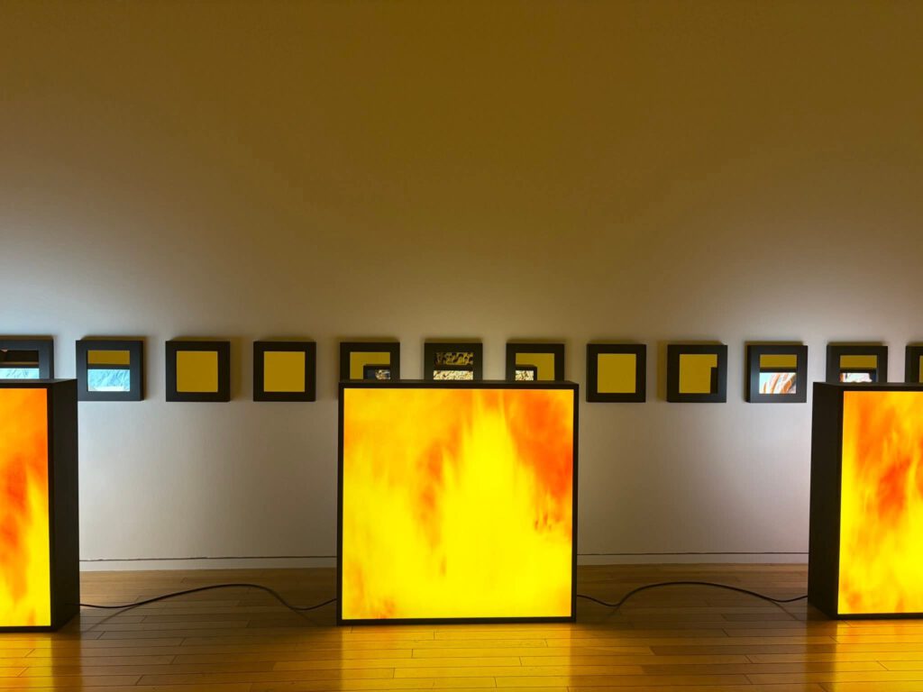 AlfredoJaar.01 | Alfredo Jaar AlfredoJaar.01 | Alfredo Jaar
