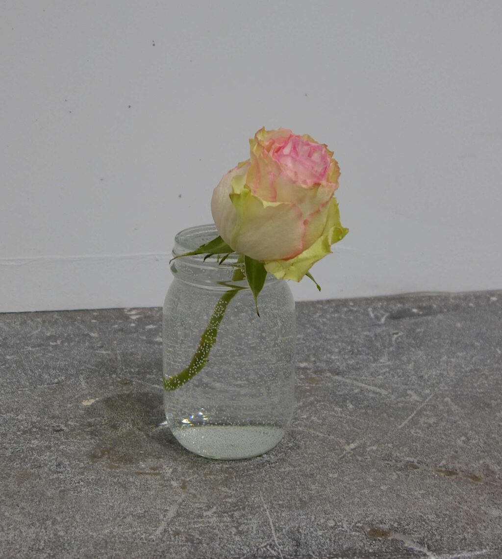内藤 礼 NAITO Rei breath 2018-2022. Installation water, painted stainless steel, flower, glass jar, mirror; 600 x 1000 x 1250 cm, detail1