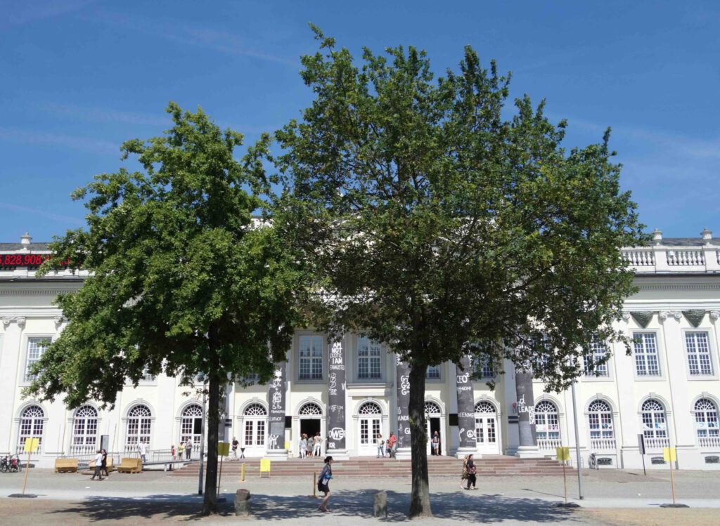 2 oaks by Beuys in front of the Museum Fridericianum