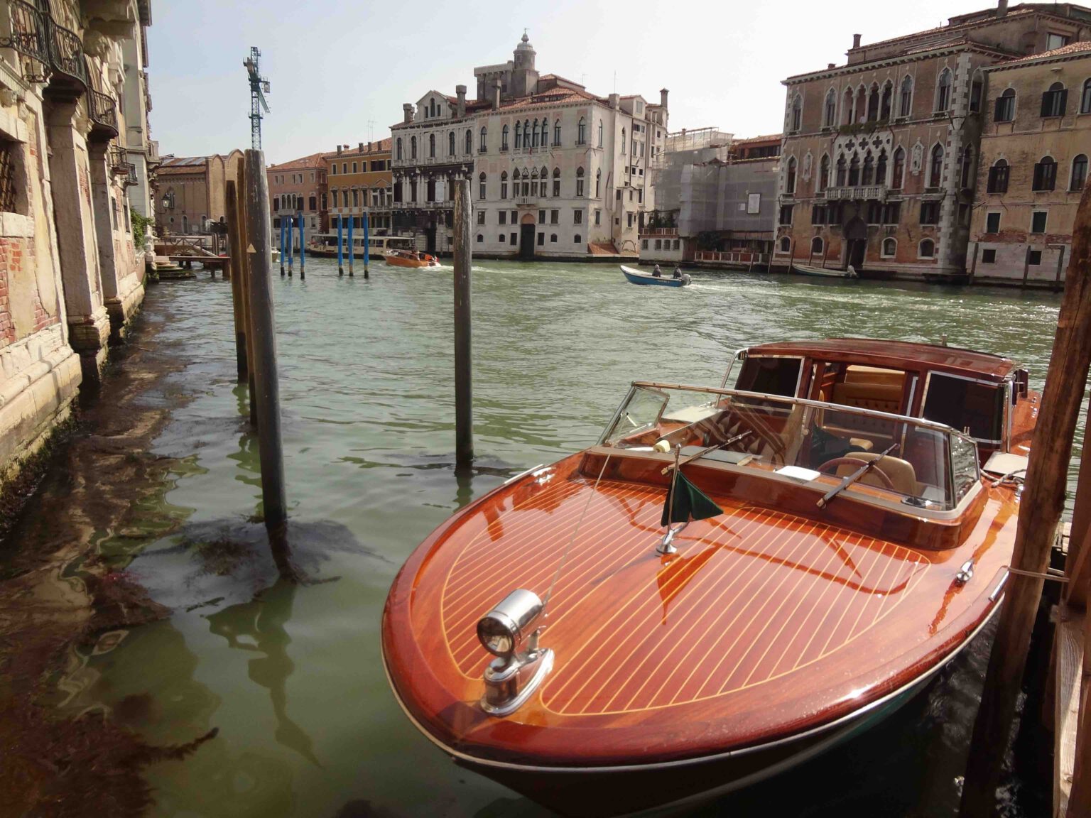 Venice Biennale 2024 with the title: “Foreigners Everywhere ...