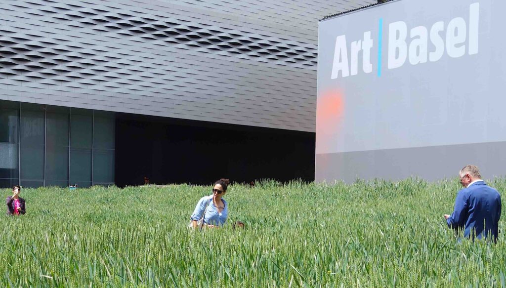 Agnes Denes “Honouring Wheatfield – A Confrontation” 2024, Art Basel, Messeplatz Projekt. The Swiss adaptation of the Denes’ 1982 historic installation had been presented on Art Basel’s own public square