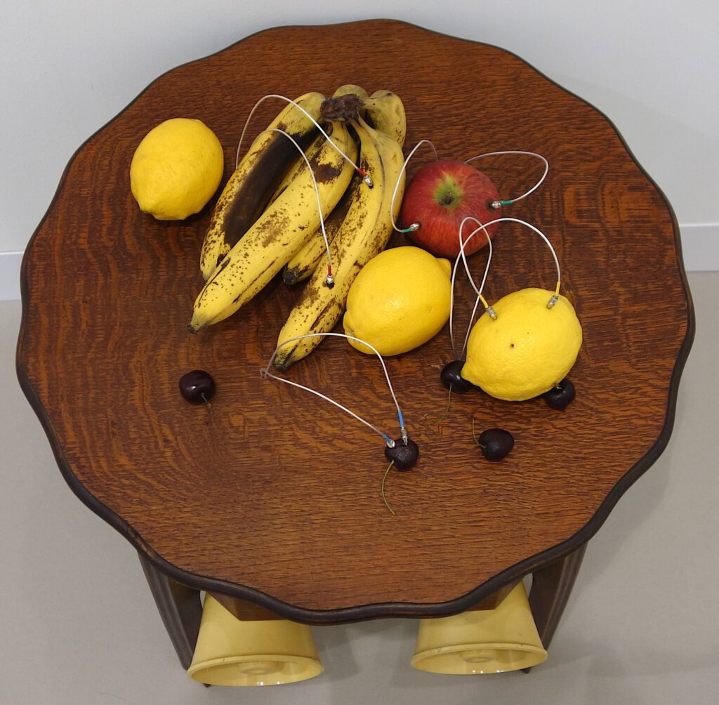 毛利悠子 MOHRI Yuko Decomposition 2024. Vintage table, speakers, 4 channel audio generated by fruits. 49.4 x 49.4 x 47.8 cm, detail @ TANYA BONAKDAR GALLERY, Art Basel 2024