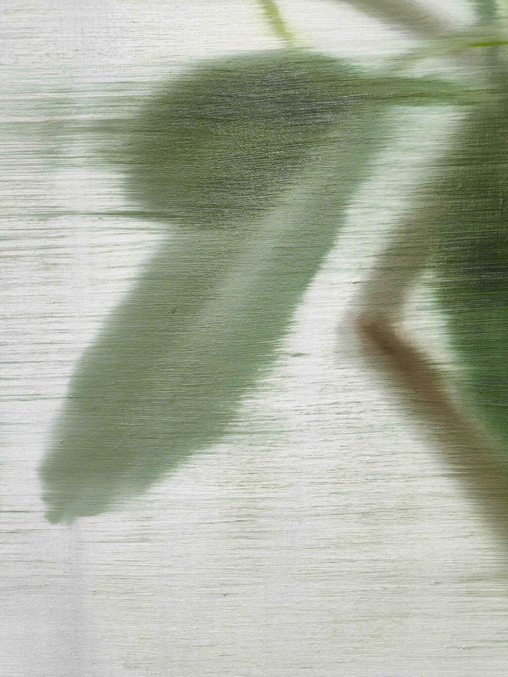 西村有 NISHIMURA Yu “Rubber Tree” 2024, Oil on canvas, 72.7 x 60.5 cm, detail