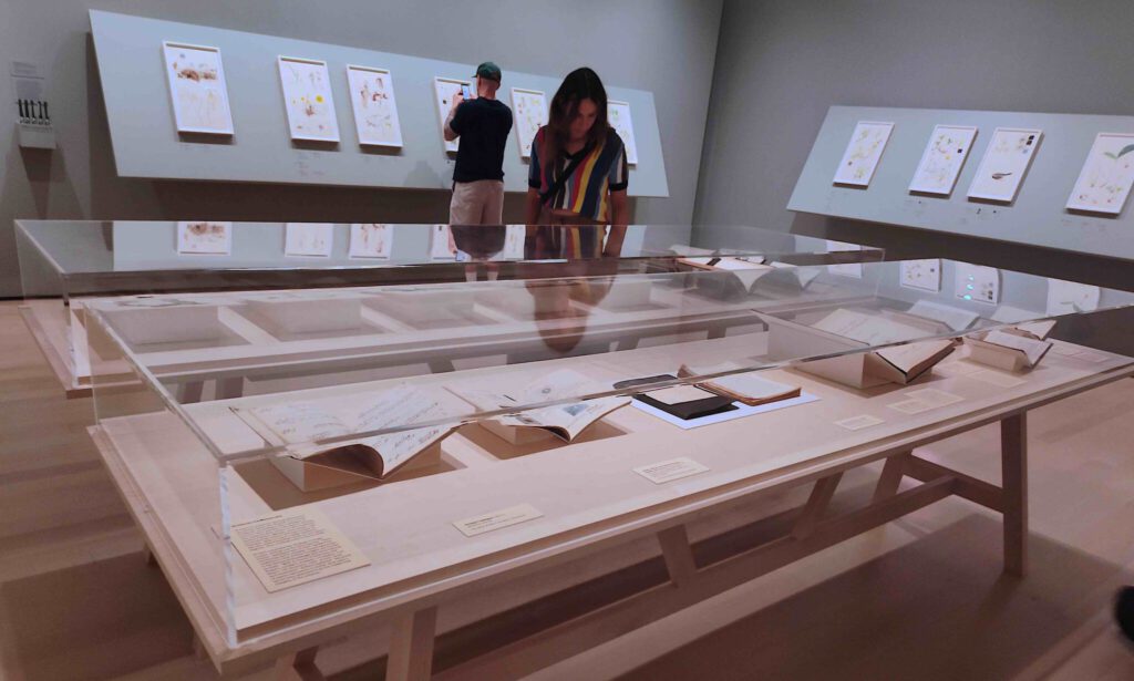 MoMAは一連の作品をコレクションした