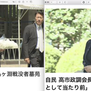 Yasukuni Shrine 靖国神社 vs. 対 千鳥ヶ淵戦没者墓苑 Chidorigafuchi National Cemetery
