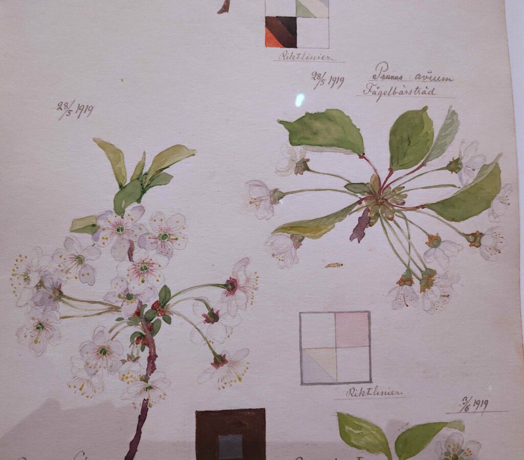 ヒルマ・アフ・クリント Hilma af Klint “What Stands Behind the Flowers” @ MoMA