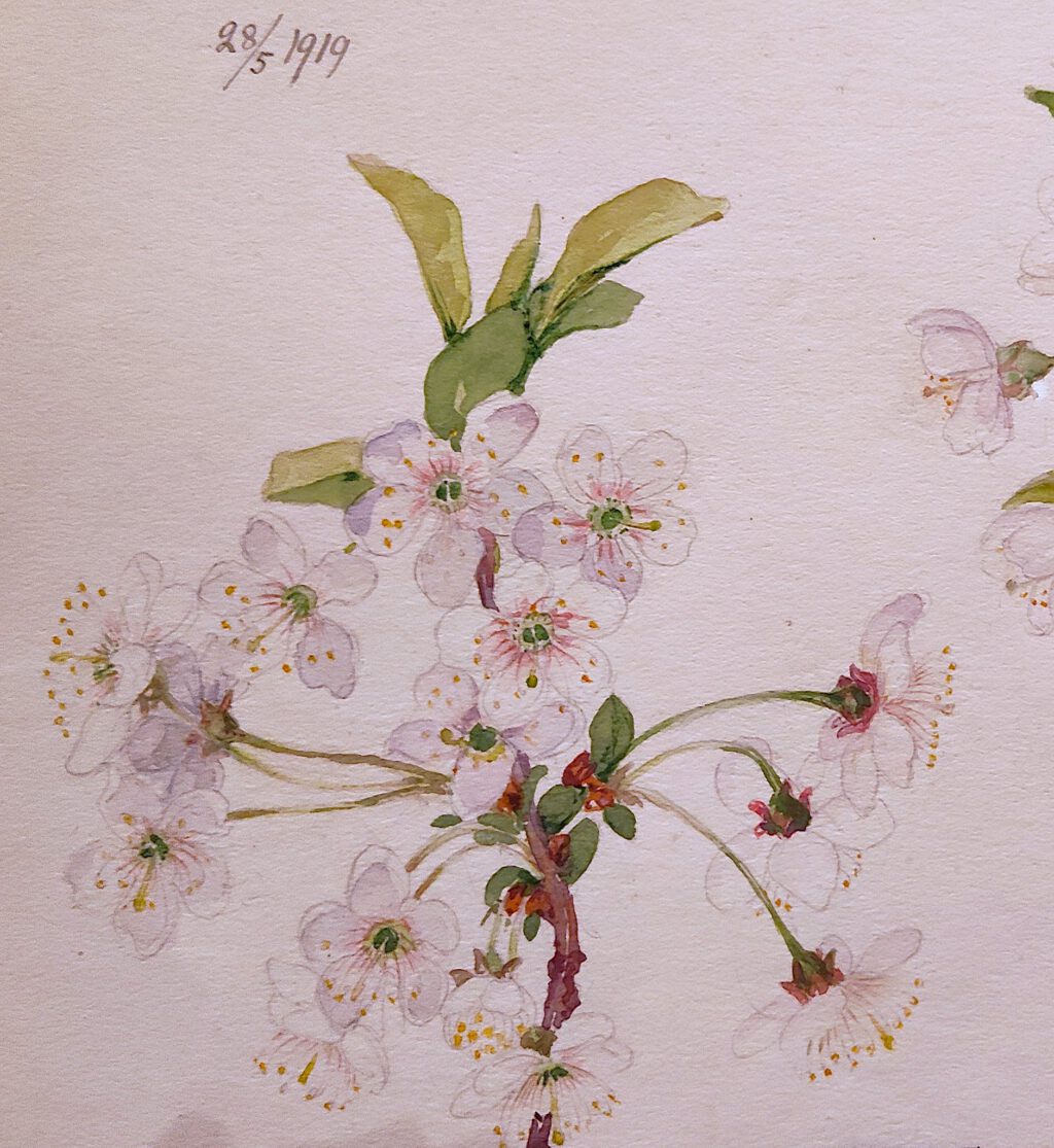 ヒルマ・アフ・クリント Hilma af Klint “What Stands Behind the Flowers” @ MoMA, detail