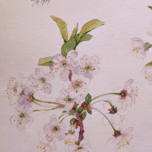 ヒルマ・アフ・クリント Hilma af Klint “What Stands Behind the Flowers” @ MoMA, detail