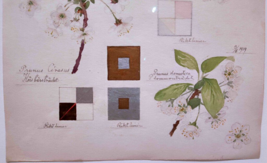 植物画に幾何学図形が付け加えられている