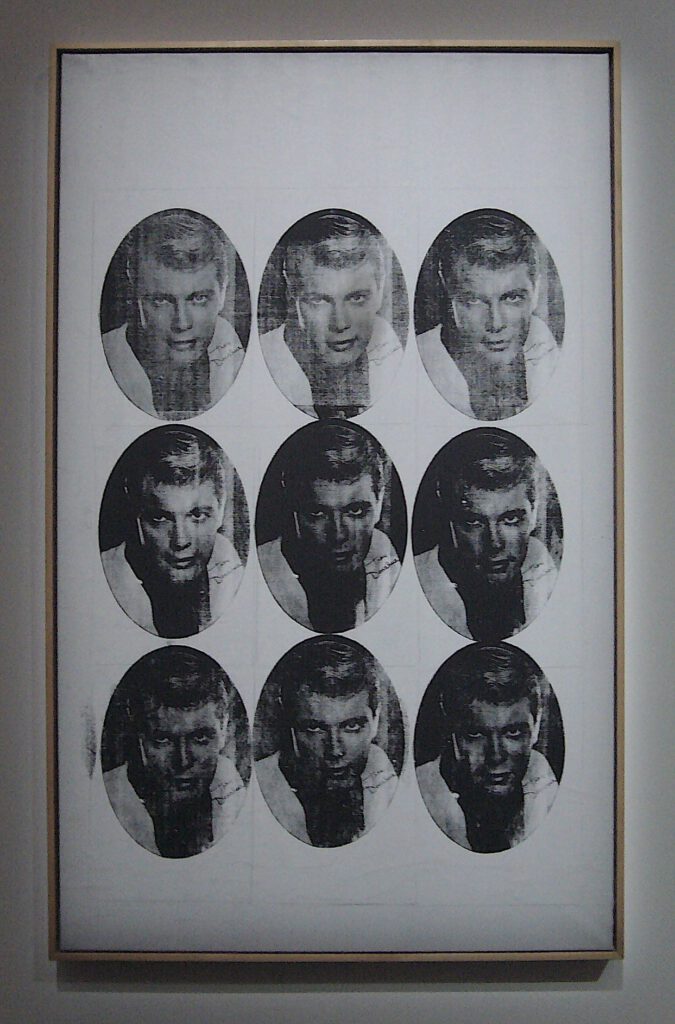 Andy Warhol Troy