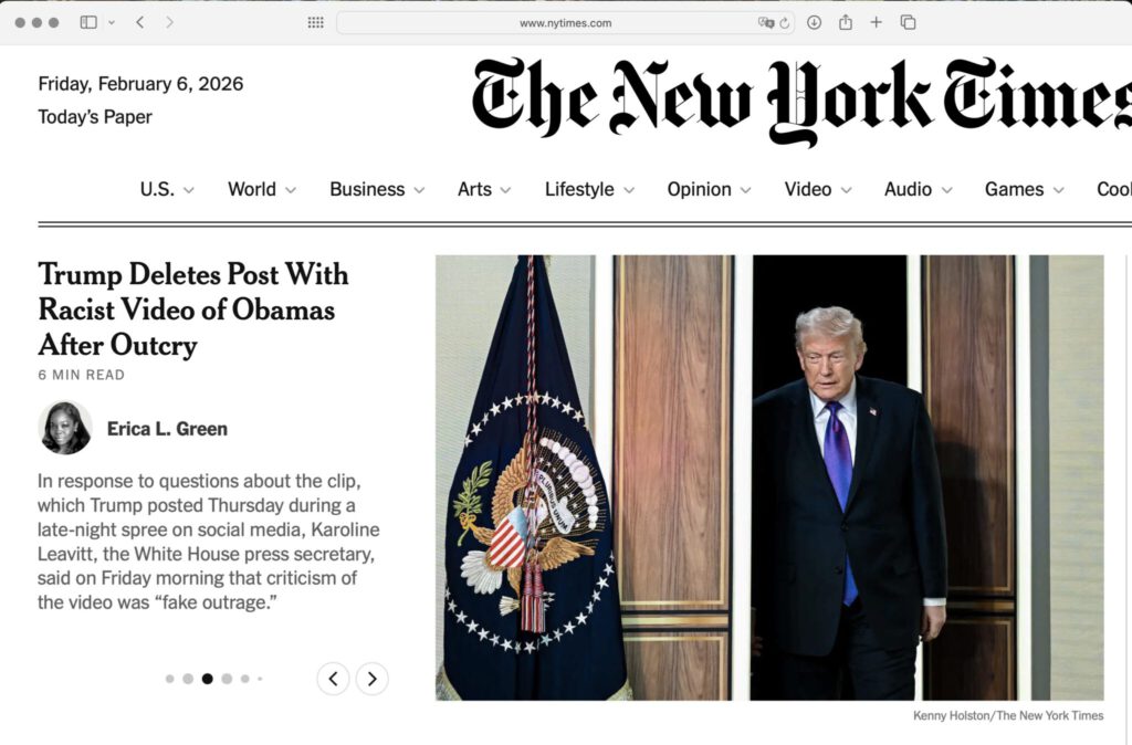 New York Times Trump American Stupidity