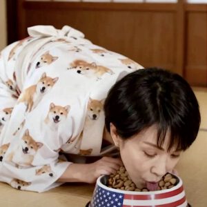 アメリカの属国にっぽん