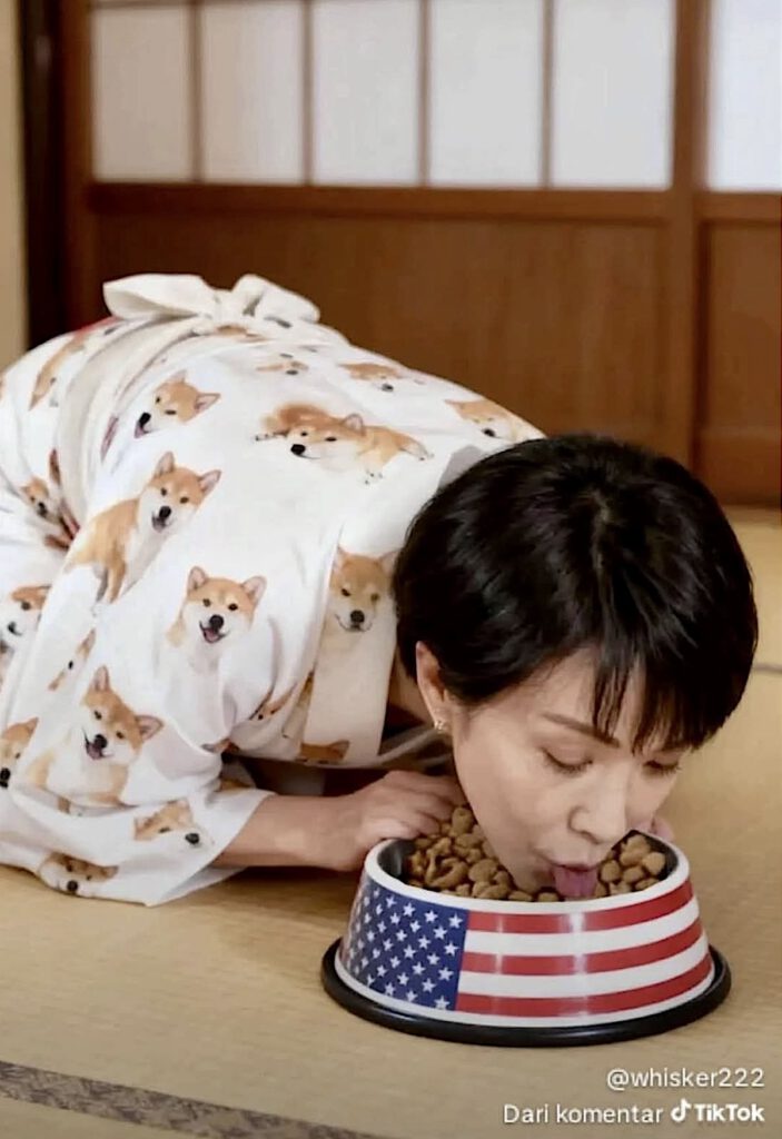 アメリカの属国にっぽん