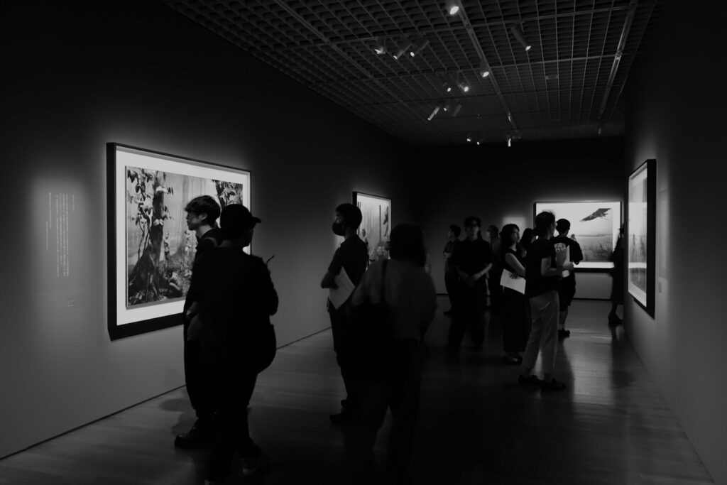 杉本博司 絶滅写真 東京国立近代美術館 Hiroshi Sugimoto Extinction Photography National Museum of Modern Art, Tokyo 12