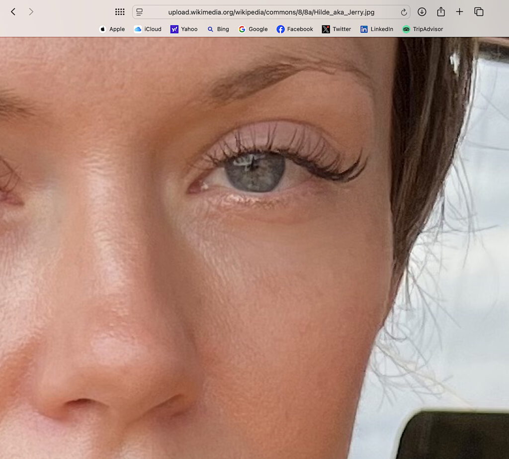 Retouched face of Hilde Lynn Helphenstein aka Jerry Gogosian on Wikipedia’s portrait