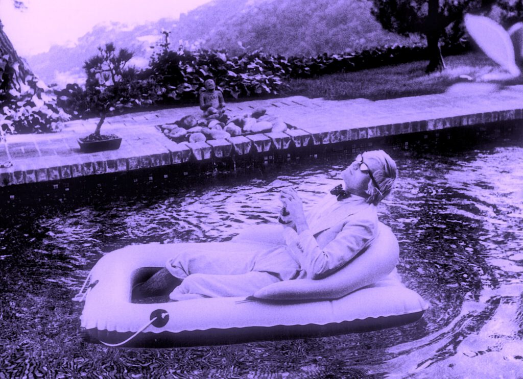 stoned David Hockney